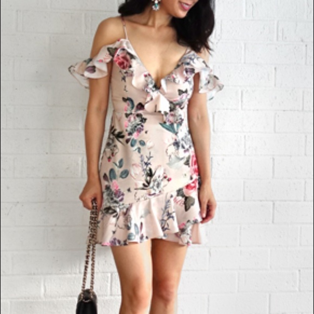 Majorelle Salsa Dress in Flamingo